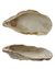 Oyster Shell Shaped Dish