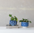 Planter with 3D Fish Blue