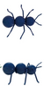 Metal Ant