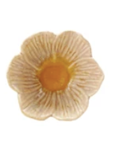 Flower Shaped Bowl Cream