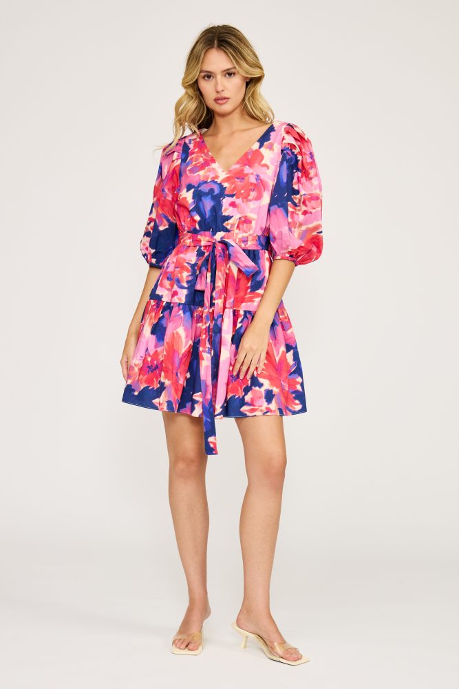 Raeann Mini Dress Multi Pink
