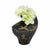 Ponce Tribal Black White Vase