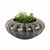 Lorvao Portugal Bowl L