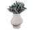 Serenity Vase 3D Small