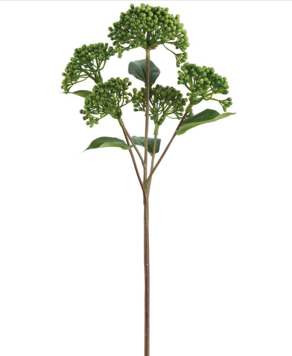 Sedum Spray Green