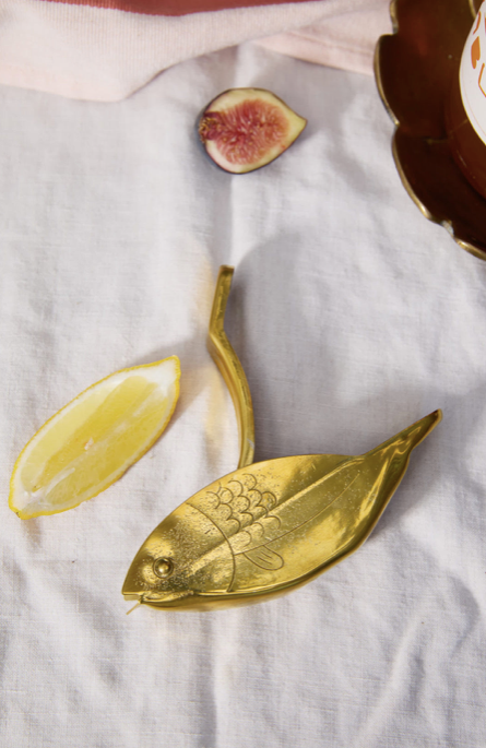 The Stevie Fish Citrus Juicer