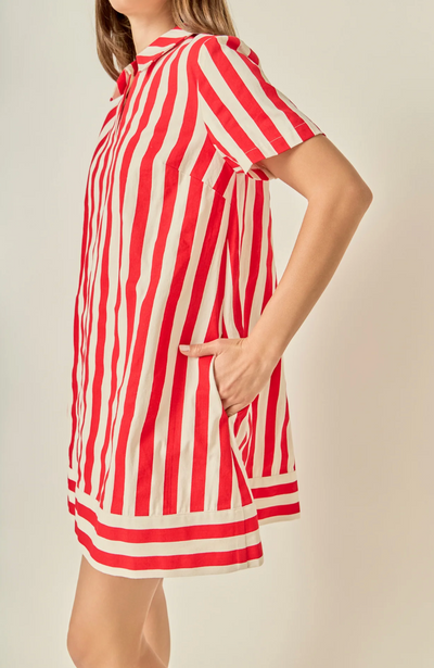 Rita Striped Mini Shirt Dress
