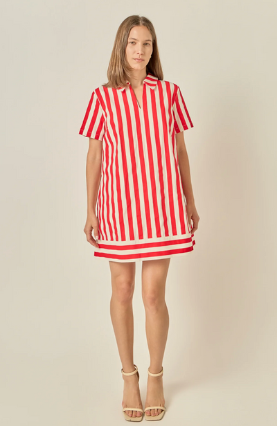 Rita Striped Mini Shirt Dress
