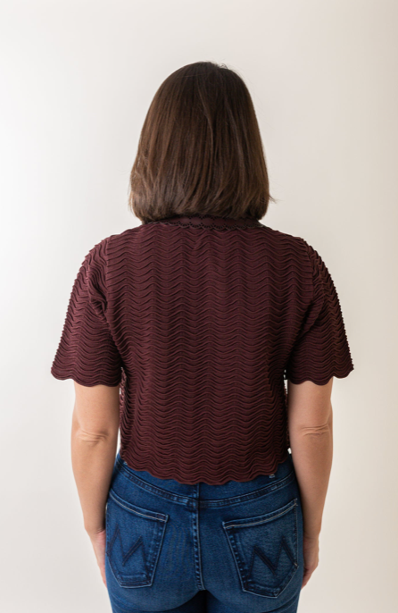 Delphine Top in Plum Brown
