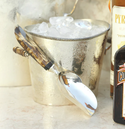 Caribbean Chic Ice Scoop Min