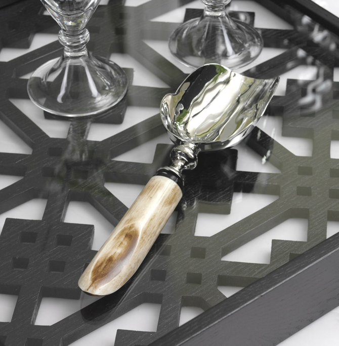 Caribbean Chic Ice Scoop Min