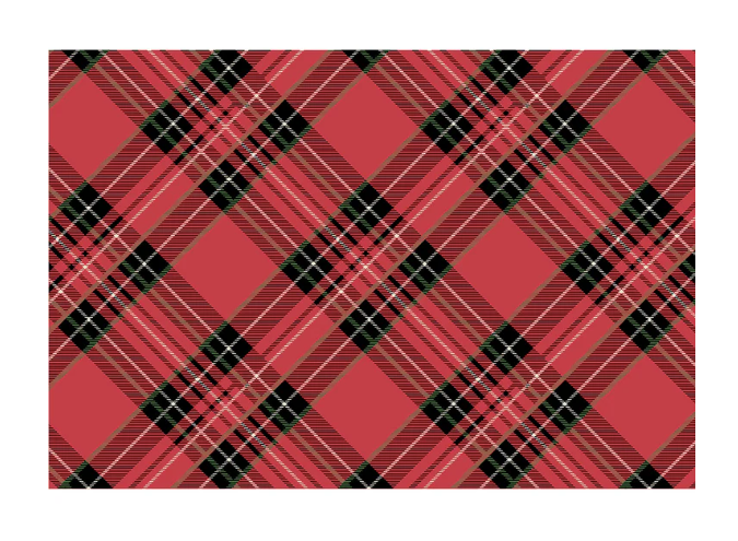 Red Plaid Placemat