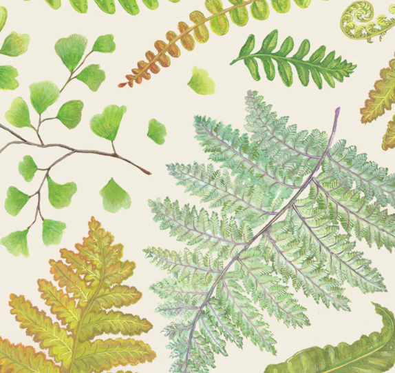 Fern Cocktail Napkin Pack Of 20