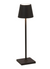 Poldina Pro Micro Black