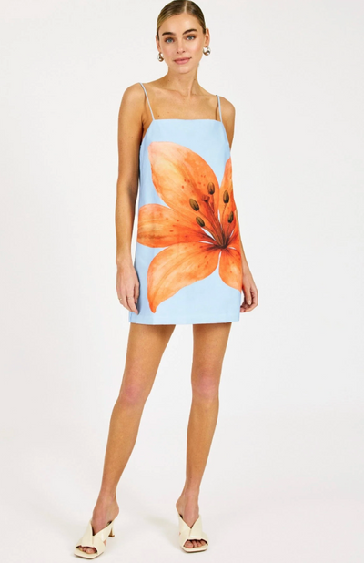 Avah Mini Dress