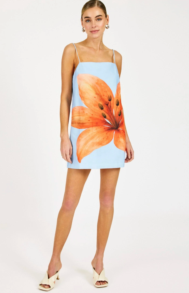 Avah Mini Dress