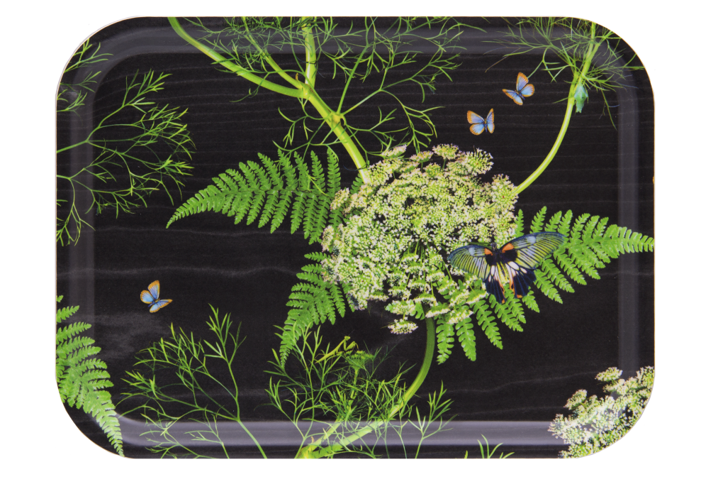 Black Dill Tray