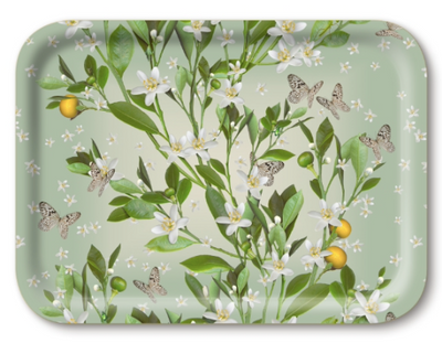 Orange Blossom Tray