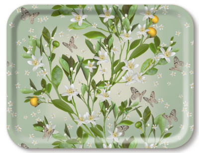 Orange Blossom Tray