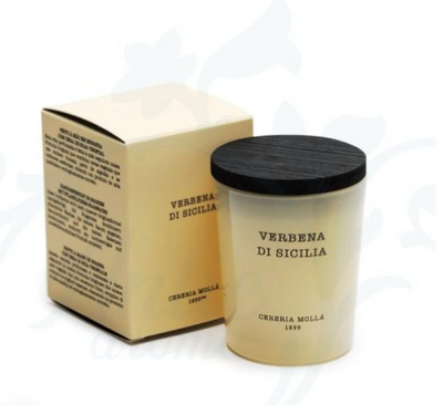 Vaso Mini Verbena Di Sicilia