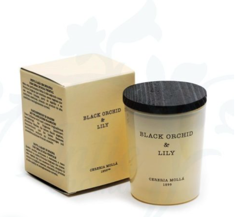 Vaso Mini Black Orchid Lily