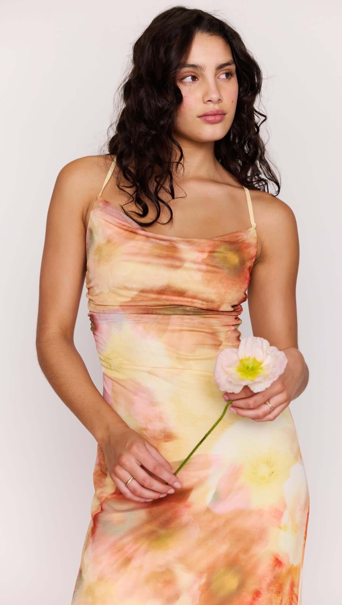 Aria Mesh Maxi Dress