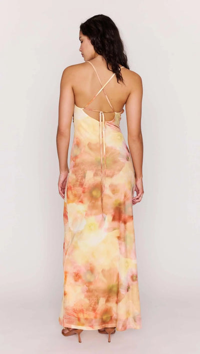 Aria Mesh Maxi Dress