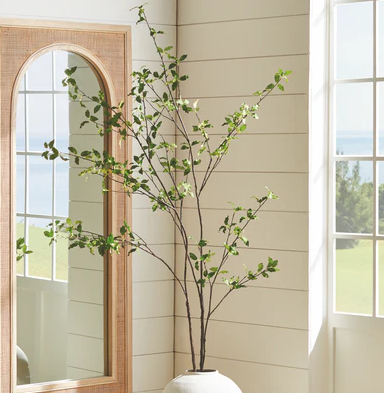 Pittosporum Branch 78in