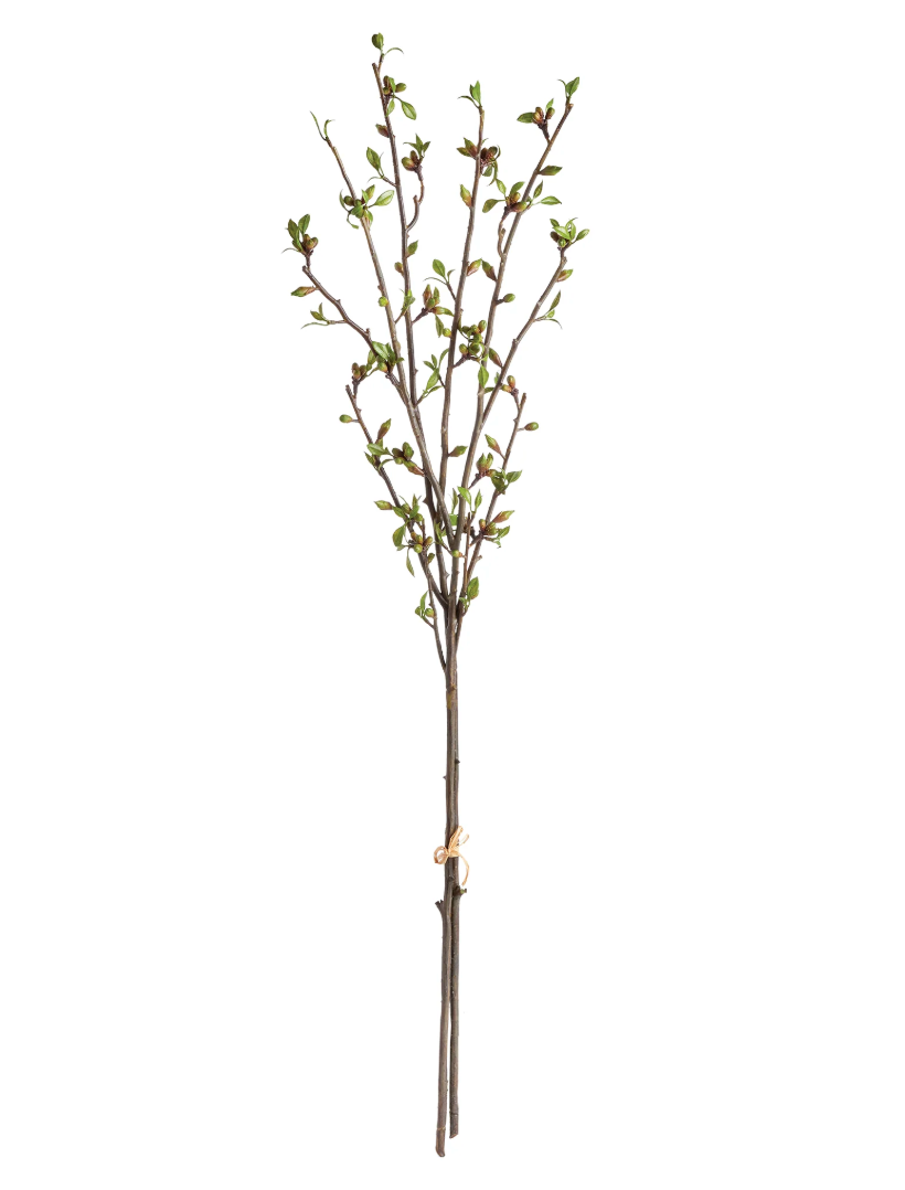 Japanese Dodan Branch 50inch