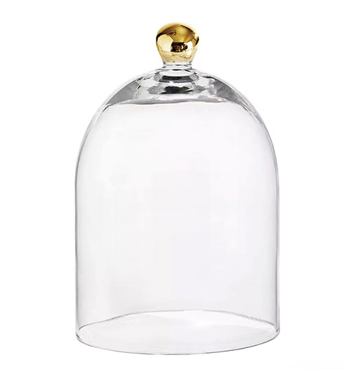 Glass Cloche with Gold Knob Large