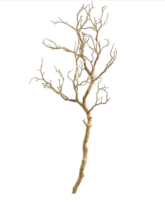 Manzanita Tree Branch