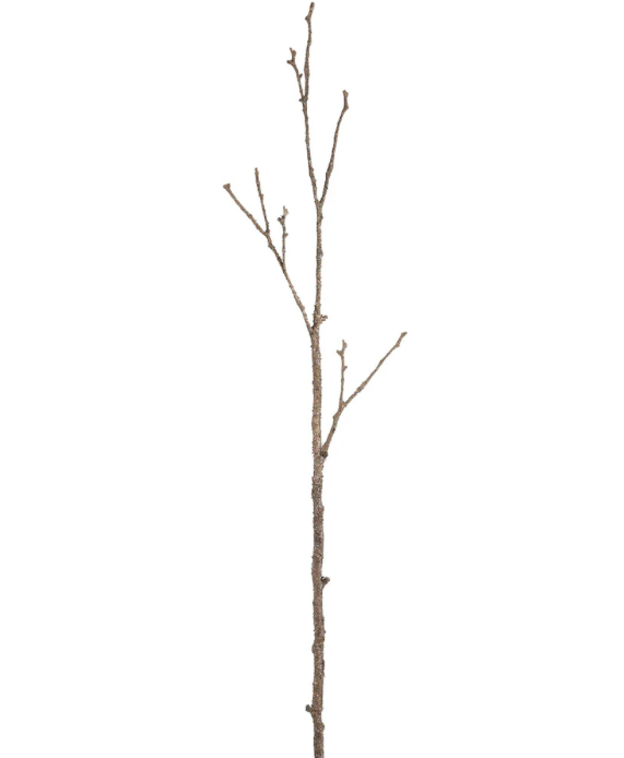 Twig Branch