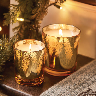 Frasier Fir Gilded Poured Candle