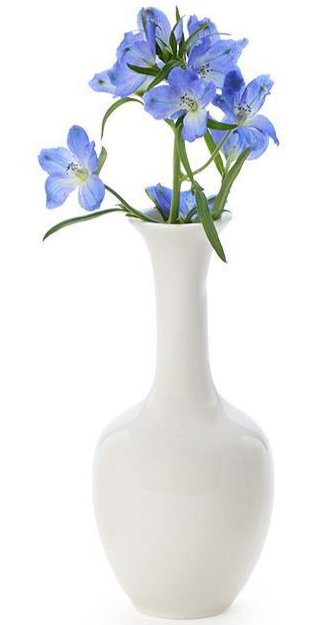 Dina Vase White