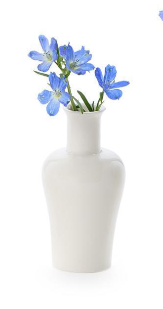 Dina Vase White