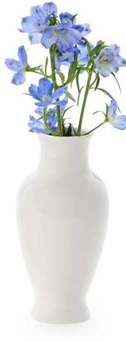 Dina Vase White
