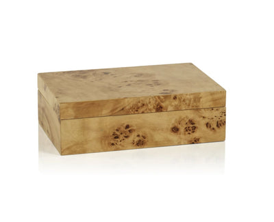 Leiden Burl Wood Design Box