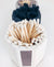 White Match Holder w Striker and White Matches