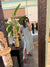 Energized Button Shirt Dress With Side Slits