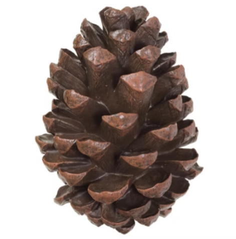 Pine Cone Table Top
