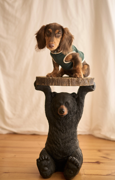 Fur Ever Grass Doggy Sweater