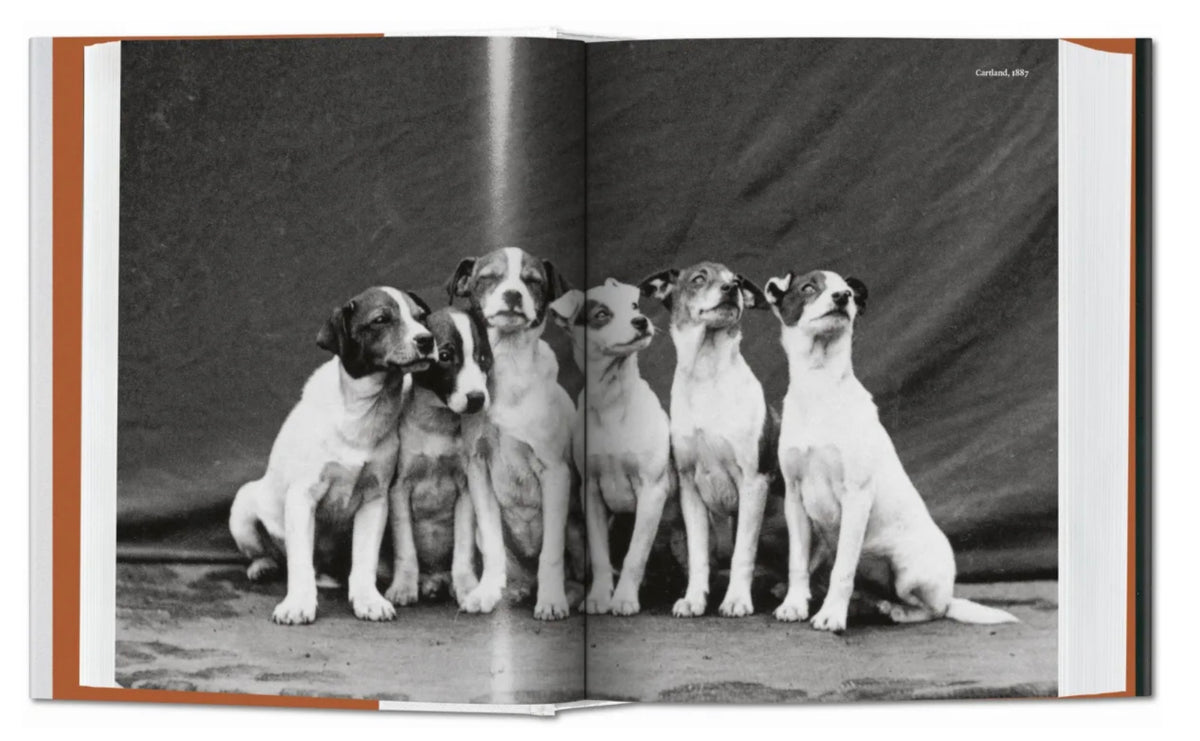 DOG IN PHOTOGRAPHY 1839-TODAY