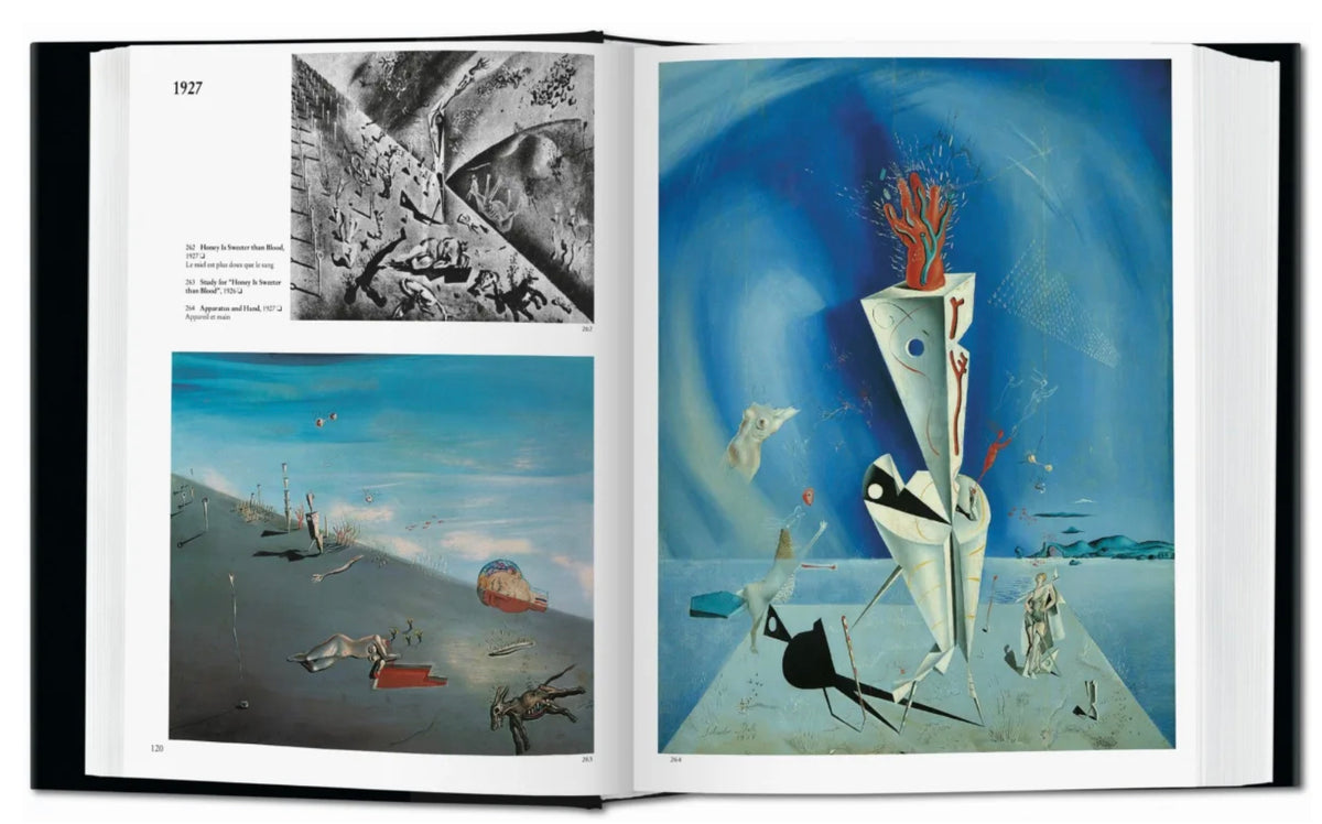 DALI THE PAINTINGS