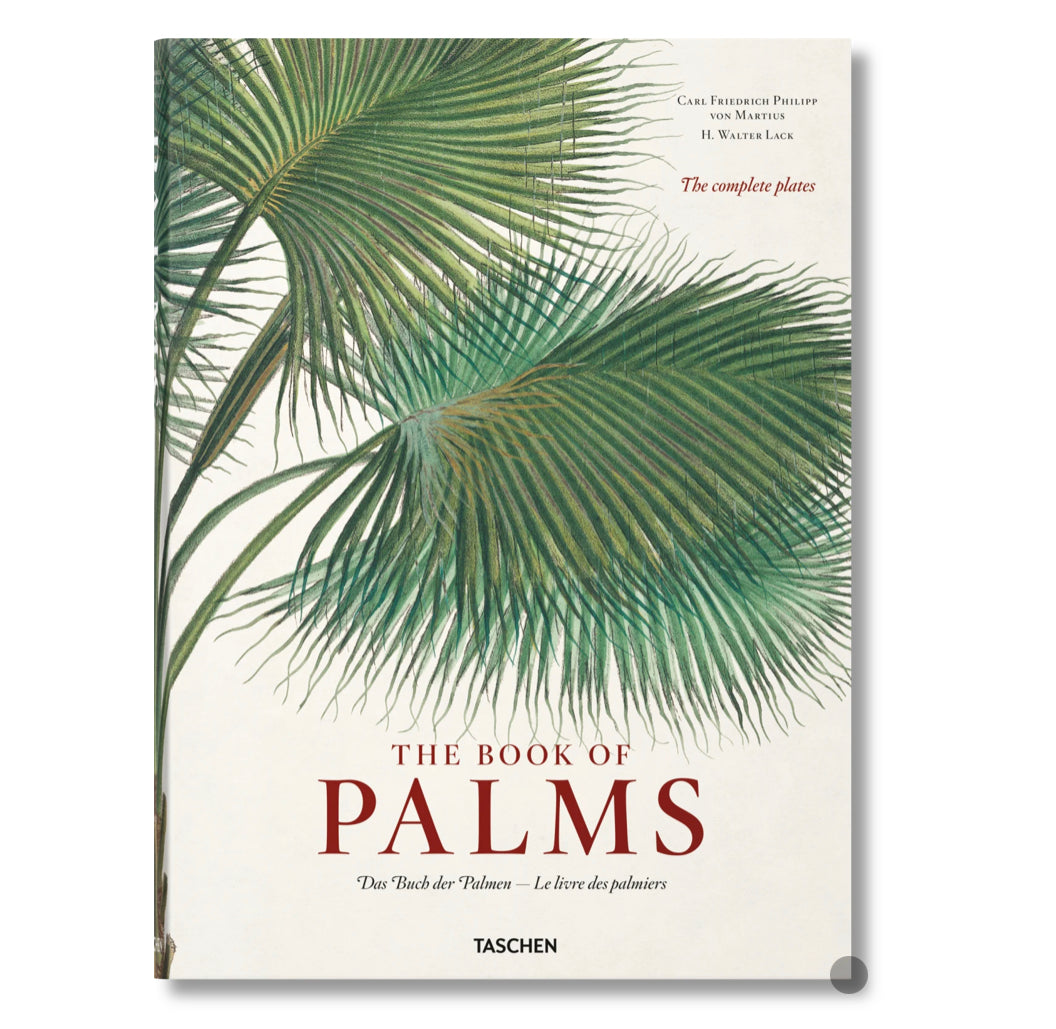 MARTIUS THE BOOK OF PALMS