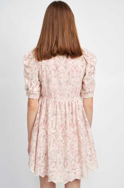 Embroidered Chiffon Mini Dress
