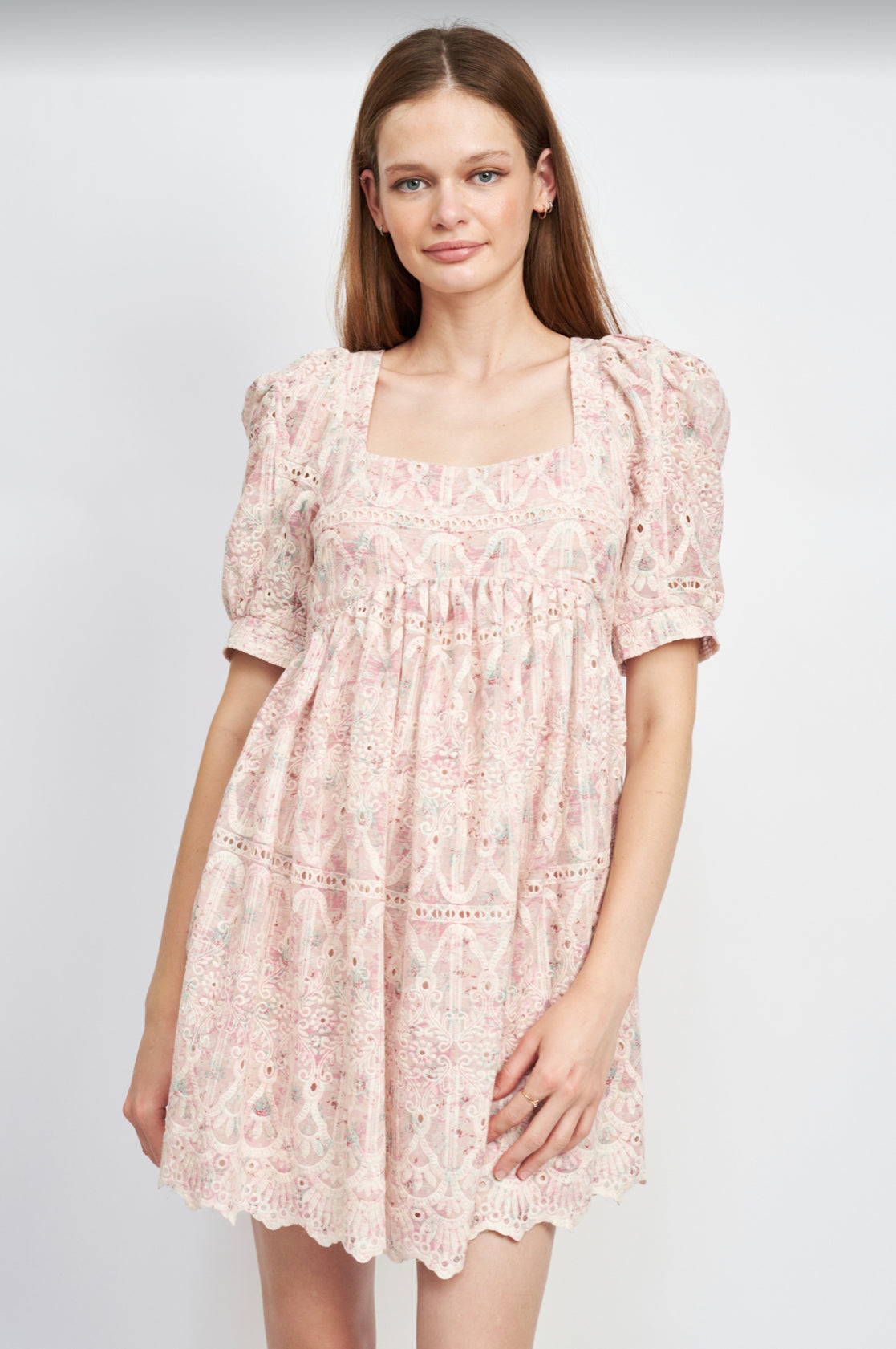 Embroidered Chiffon Mini Dress