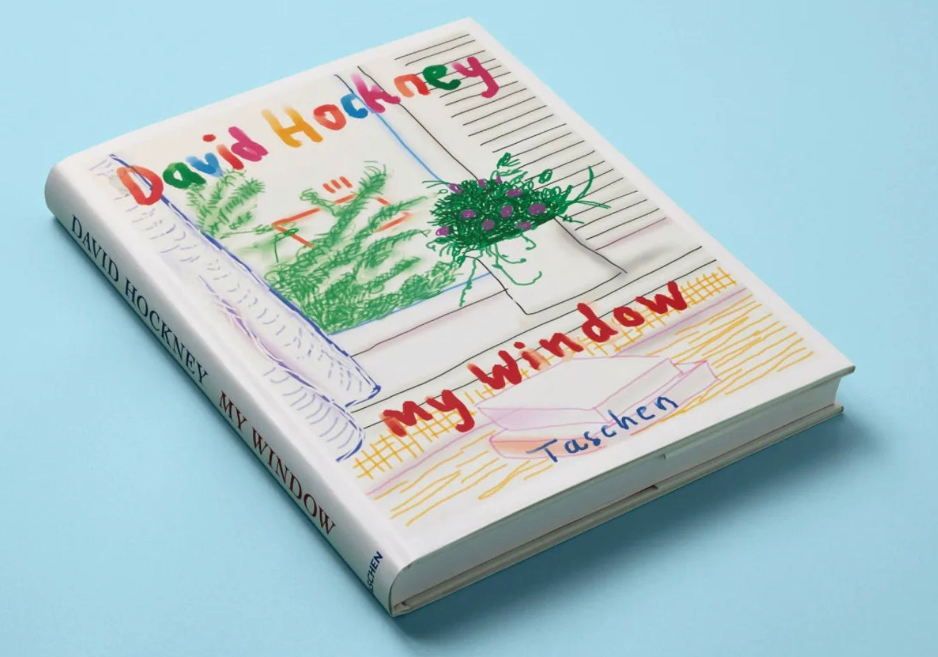 DAVID HOCKNEY MY WINDOW