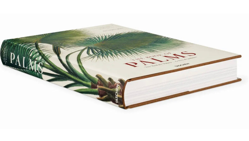 MARTIUS THE BOOK OF PALMS