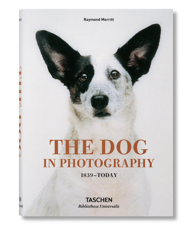 DOG IN PHOTOGRAPHY 1839-TODAY