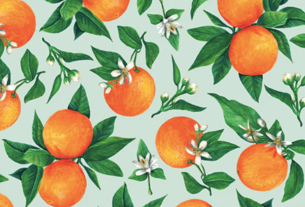 Orange Orchard Placemat - 24 Sheets